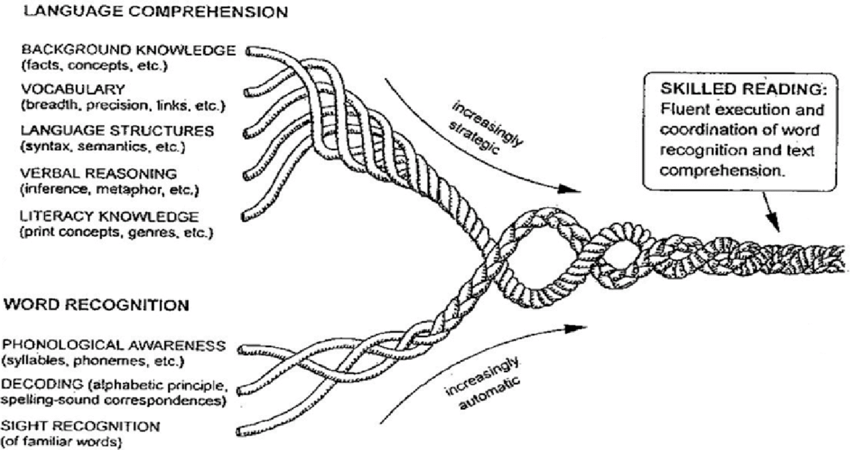 The Reading Rope (Scarborough, 2001). Source: Wegenhart, Todd. (2015). Better Reading Through Science: Using Research-Based Models to Help Students Read Latin Better. Journal of Classics Teaching. 16. 8-13. 10.1017/S2058631015000021.